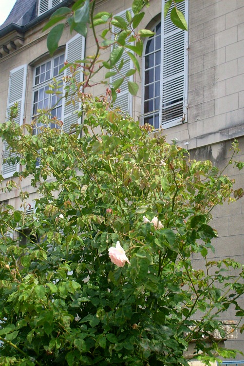 Château de la Malmaison