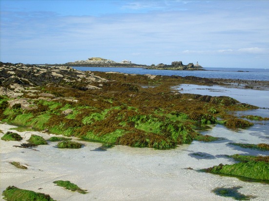 Les Glénan