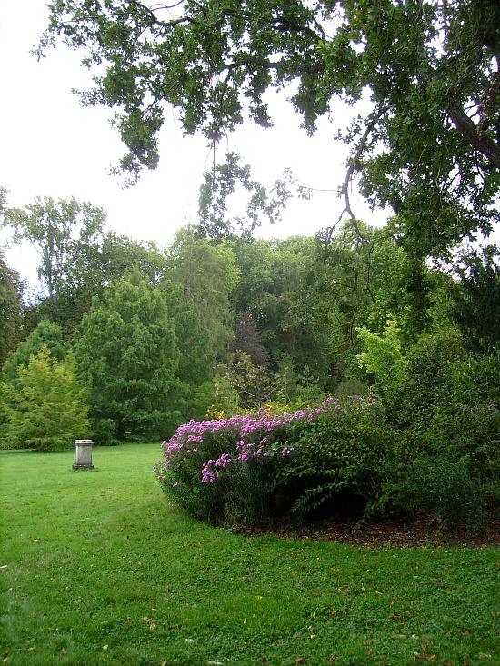 Jardin à l'anglaise à Fontainebleau