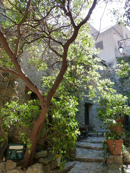 Paysage en Corse