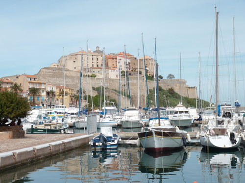 Calvi