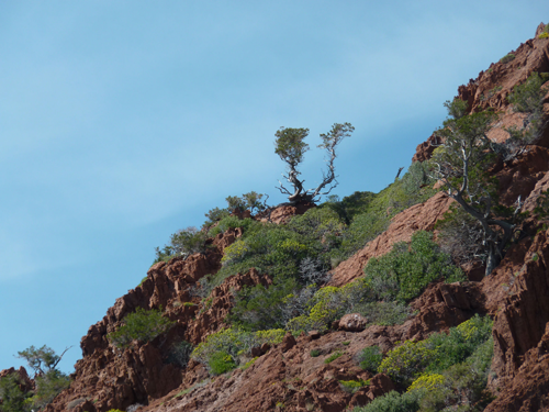 Paysage en Corse