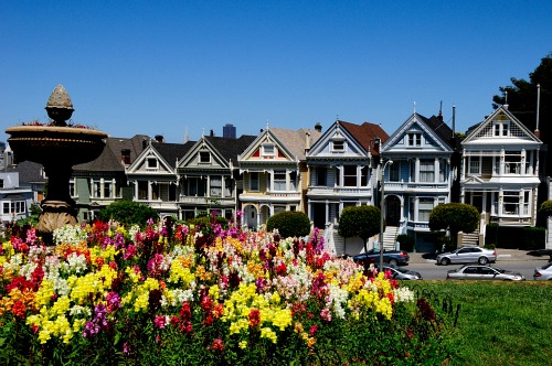 PAINTEDLADIES