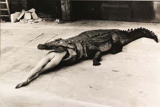 Helmut Newton, Crocodile Eating Ballerina from Pina Bausch's ballet 1983