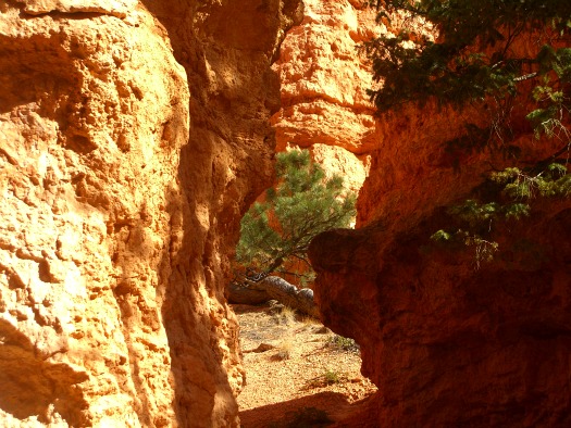 Bryce Canyon