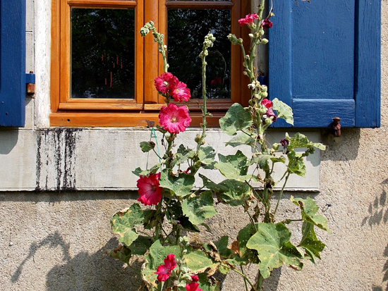 A la campagne