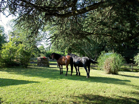 A la campagne