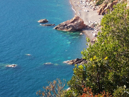 Piana