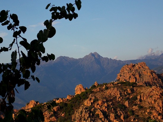 Piana