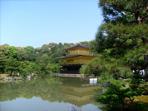 Kinkaku-ji / Japon
