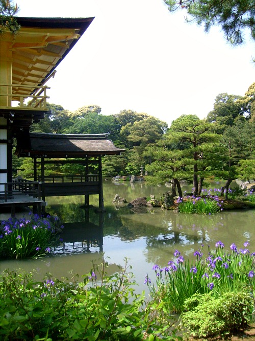 Kinkaku-ji / Japon