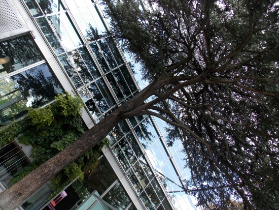 Fondation Cartier-Bresson