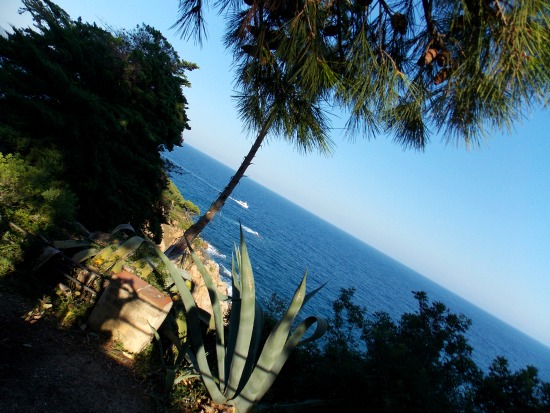 Jardin botanique Marimurtra