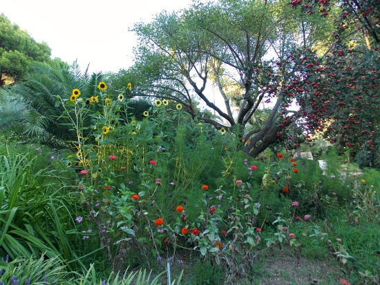 Jardin botanique Marimurtra
