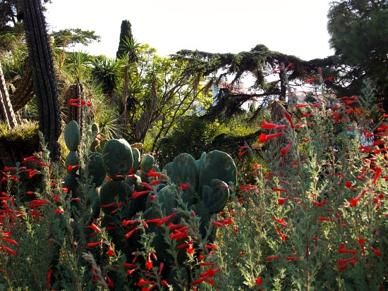Jardin botanique Marimurtra