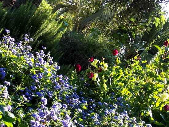 Jardin botanique Marimurtra