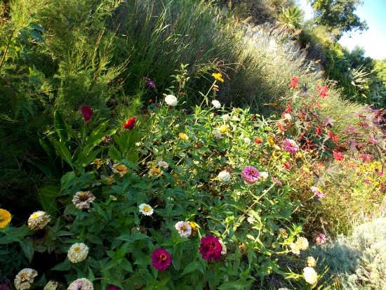 Jardin botanique Marimurtra
