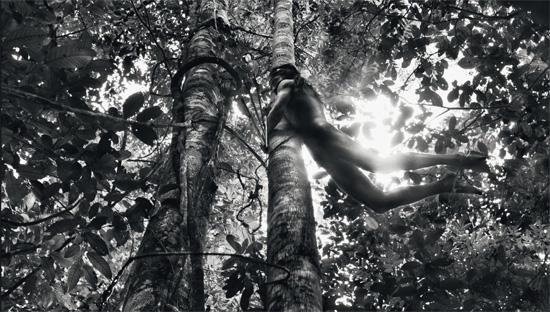 © Sebastiao Salgado