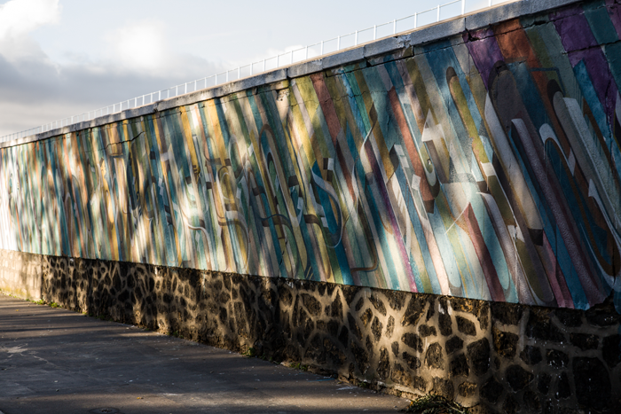 Rosa Parks fait le mur