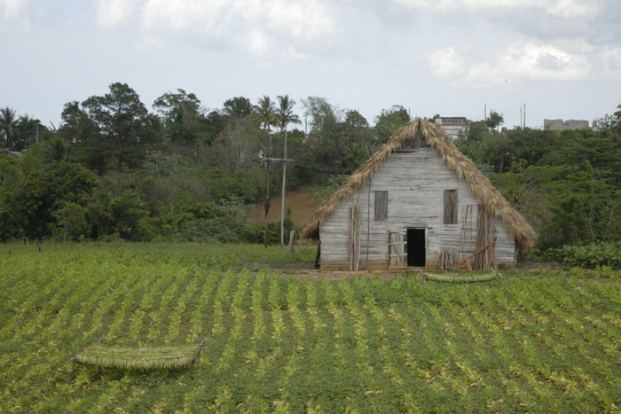 Cuba