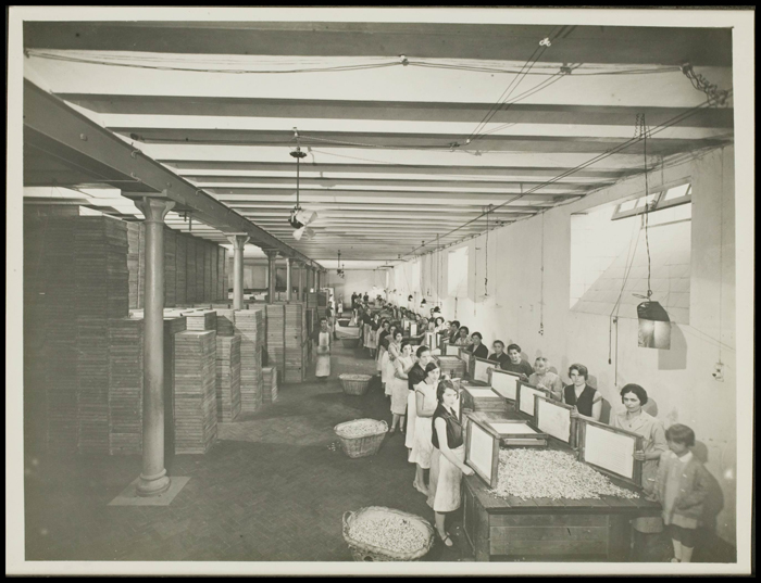 La Grand Musée du Parfum