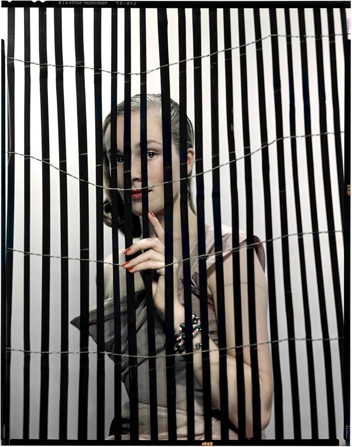 Studio Blumenfeld